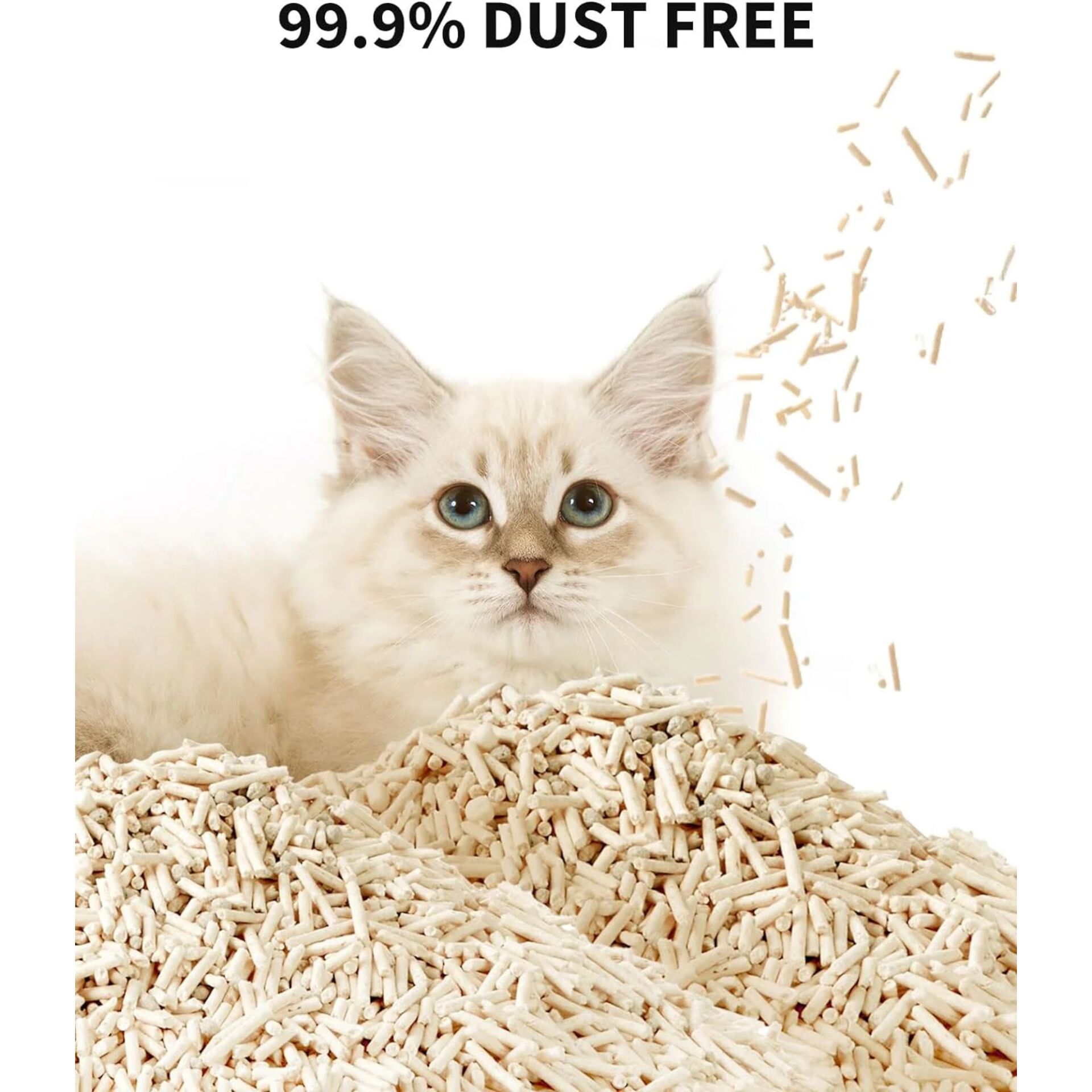 PETKIT Occult Blood Test Mixed Cat Litter - 1 Stück (PKCL08) 152541_03