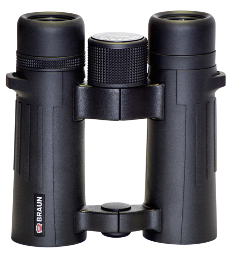 Braun Compagno           8x34 WP