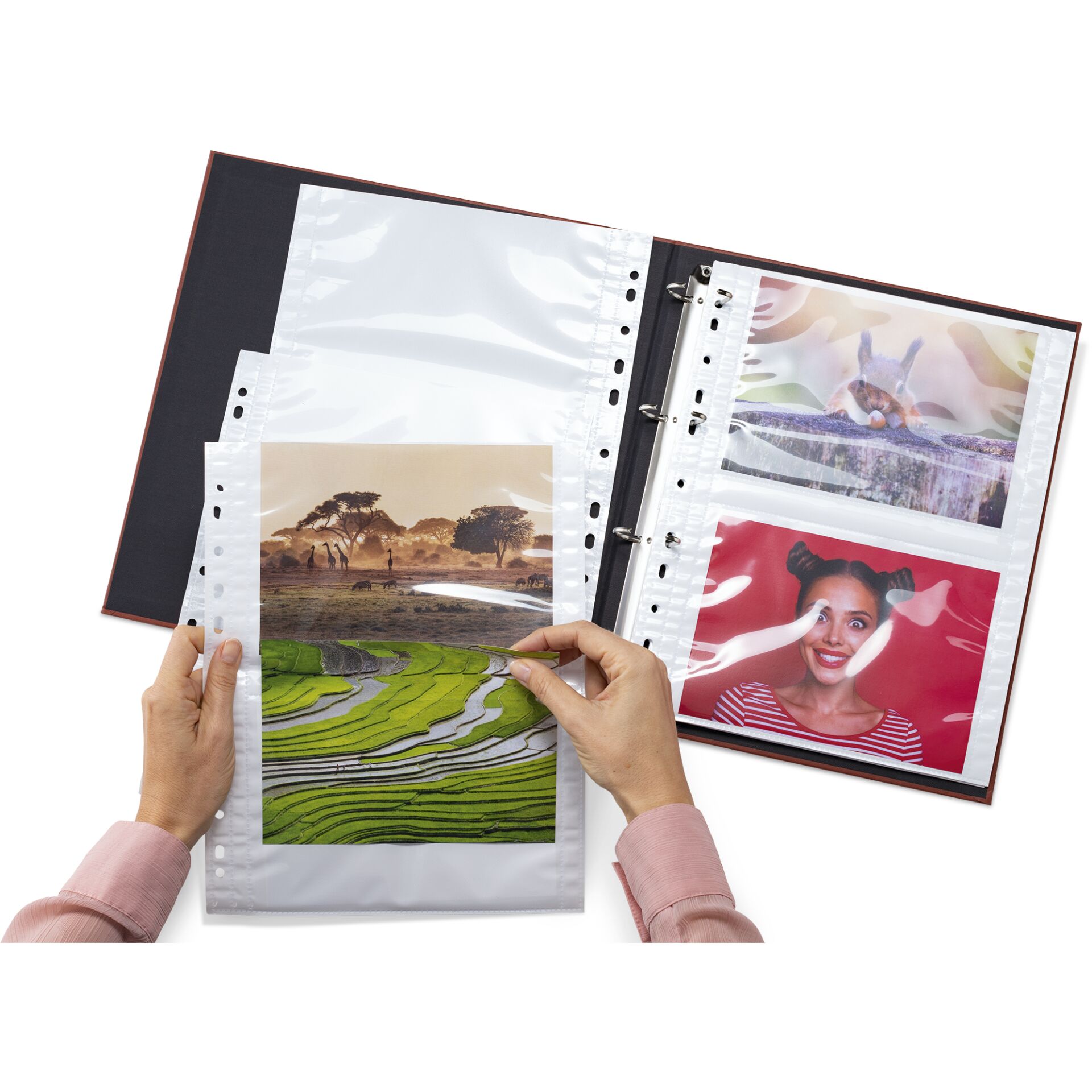 Herma fotophan 13x18 10 Blatt weiß               7587 510362_04
