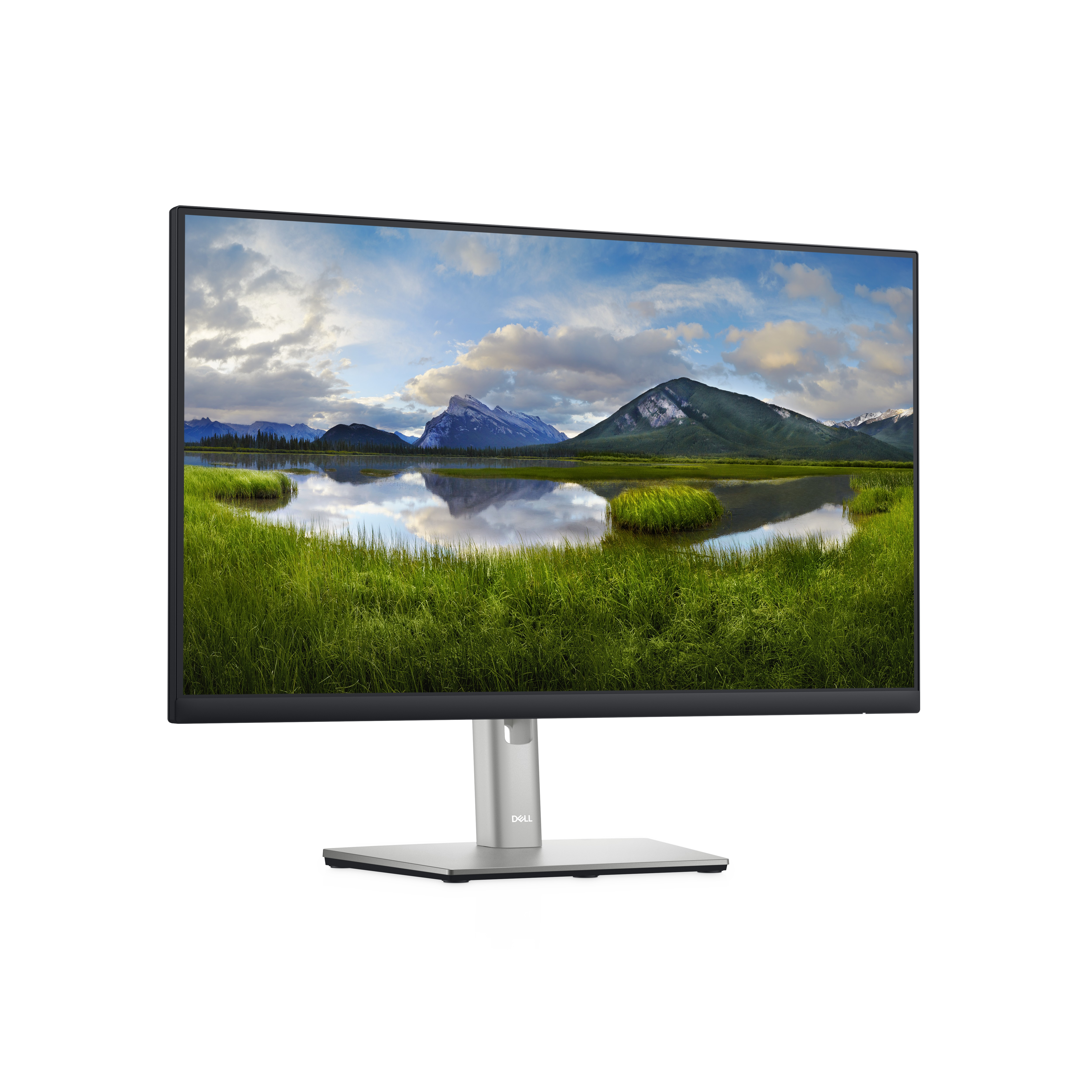 DELL P2422H 60,5 cm (23.8 Zoll) 1920 x 1080 Pixel Full HD LCD Schwarz