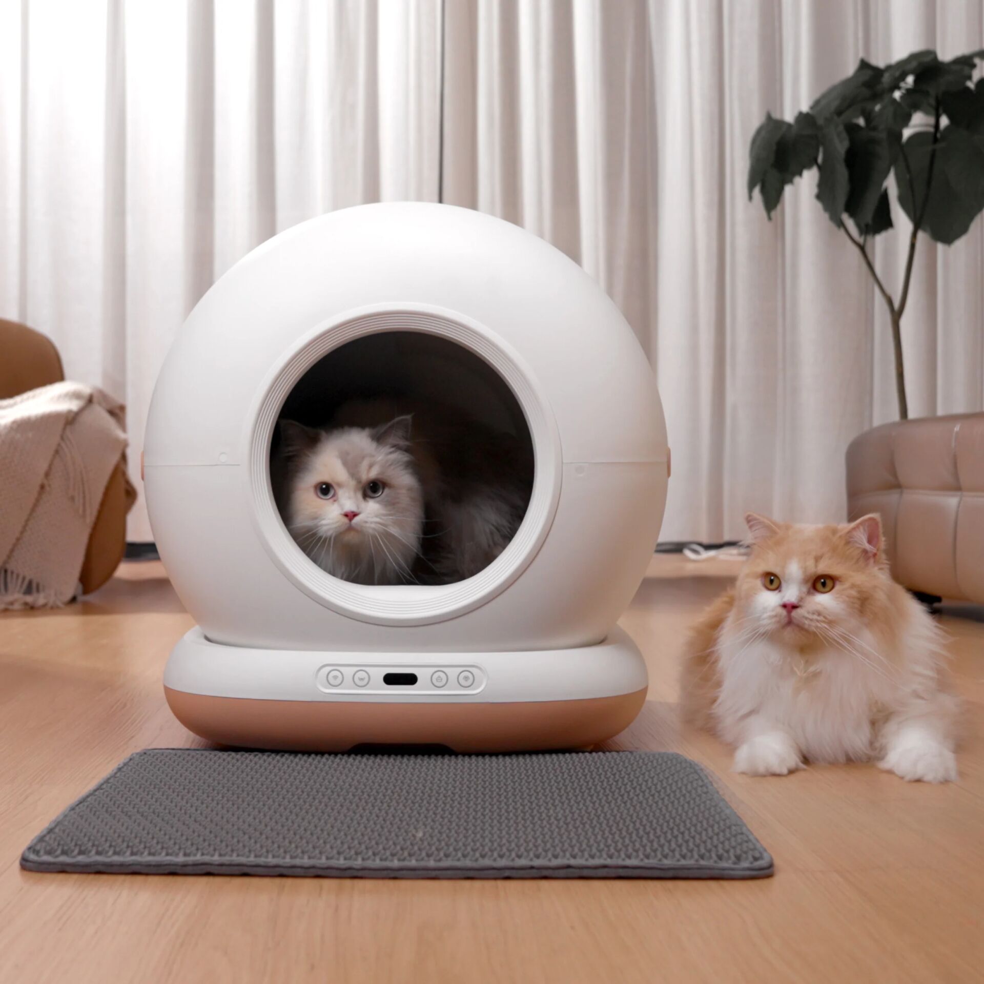 Astropet selbstreinigende Katzen toilette Neptune Series 139150_04