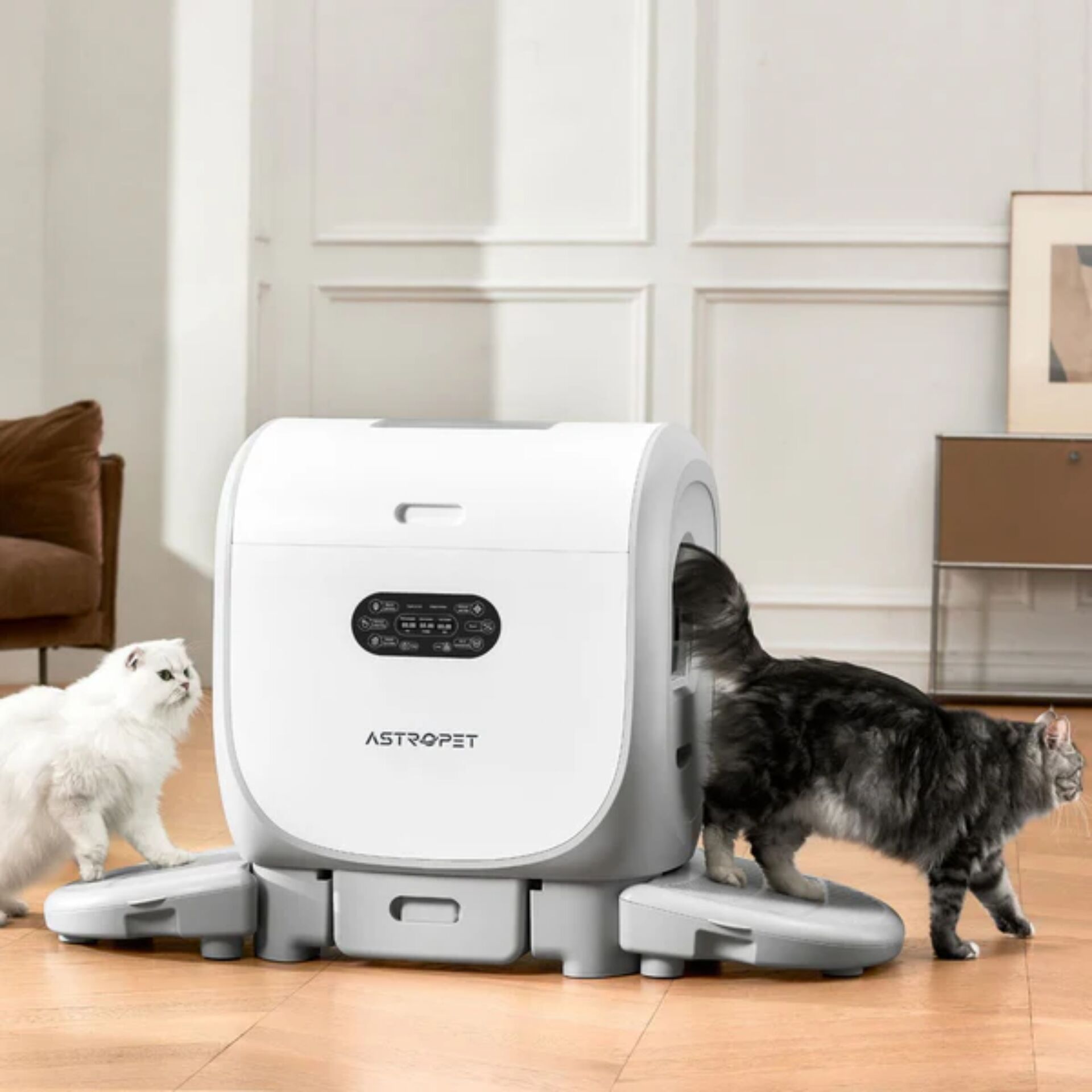 Zwei Katzen neben einer automatischen Katzentoilette in einem stilvoll eingerichteten Wohnzimmer