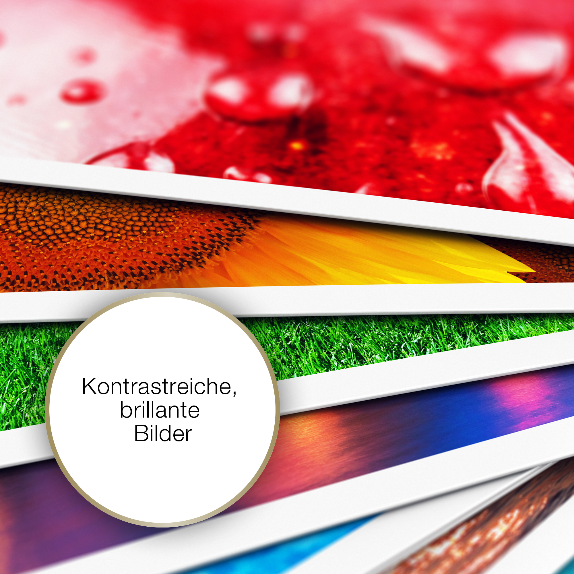 Epson Fotopapier glänzend C13S042536 -A3-20 Blatt- e9de217eeeefb75334d45f4ef53d13327e6b909c
