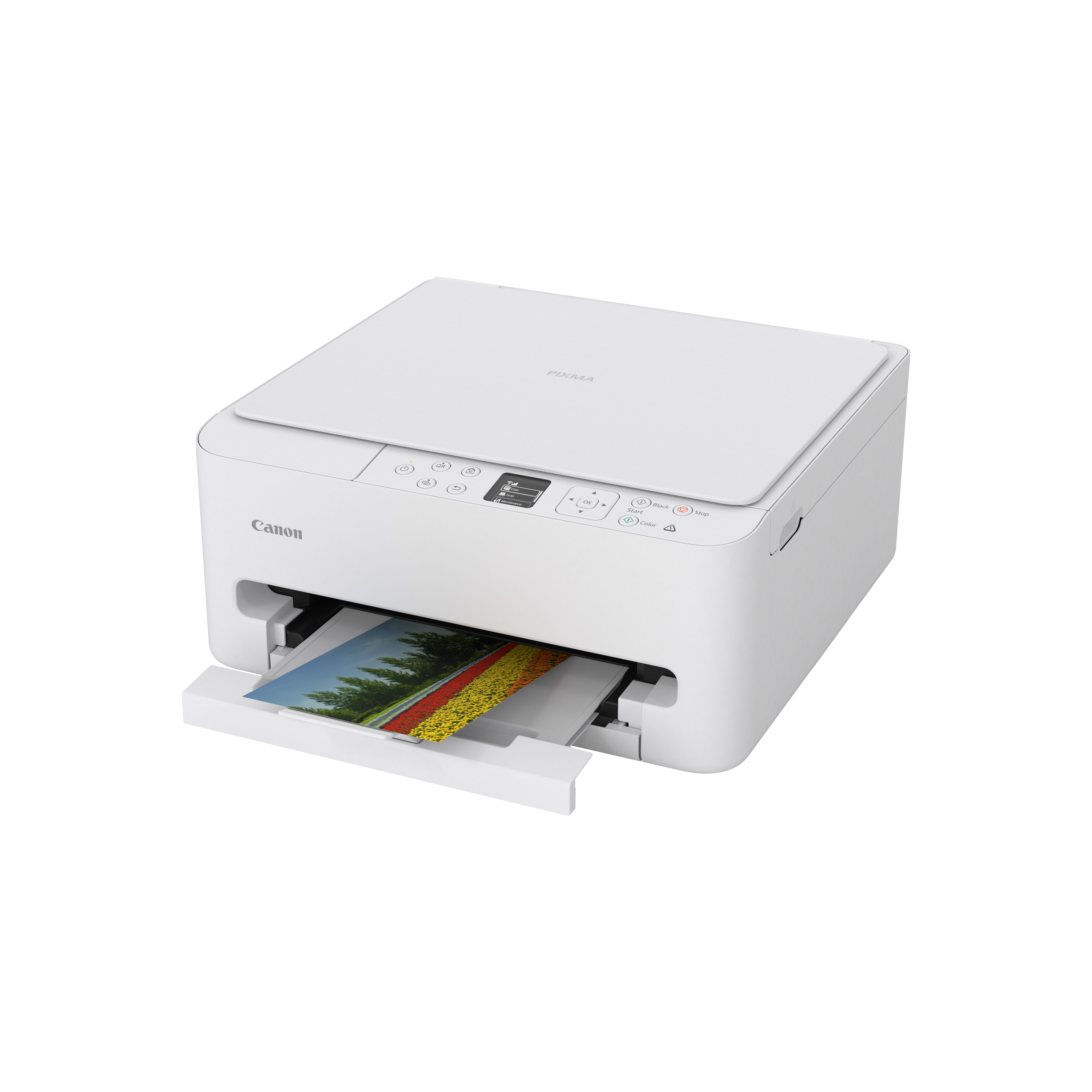 Canon PIXMA TS 6550i cdb568f1c75021e44604d810da2c67880d59d6d7
