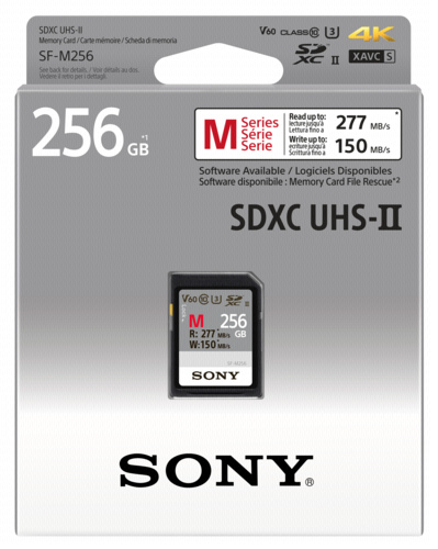 "Sony SDXC Professional     256GB"