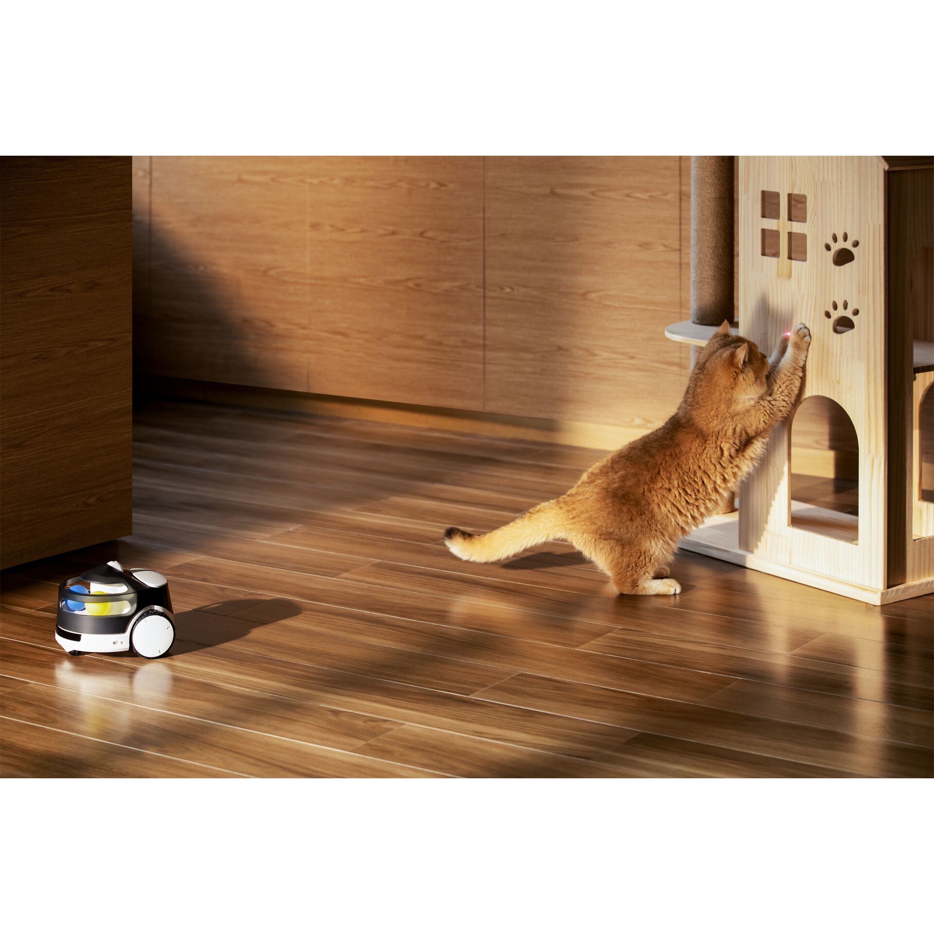 Enabot ROLA PetPal Spiele Modul 182697_05