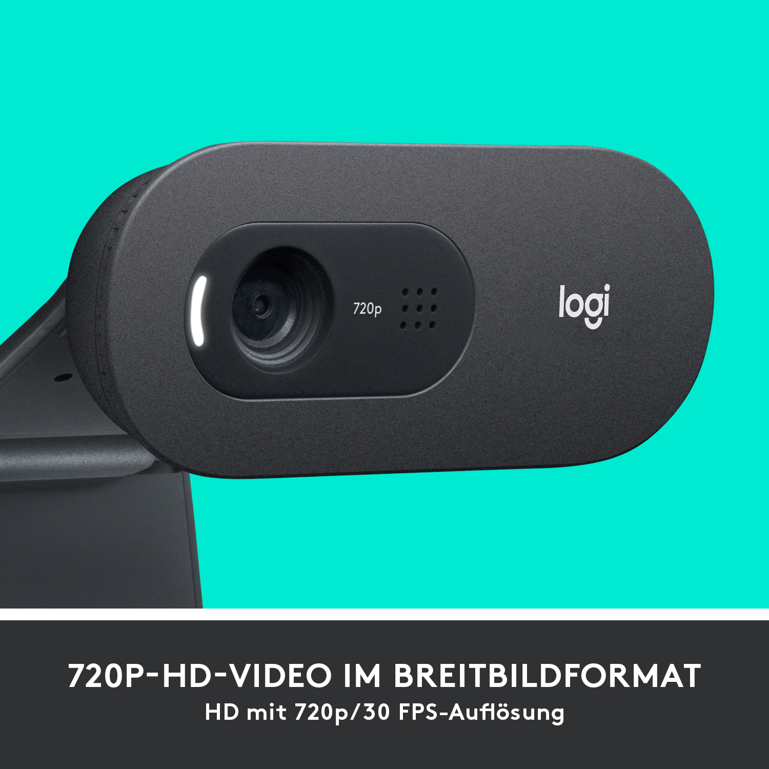 Logitech C505 Webcam 1280 x 720 Pixel USB Schwarz