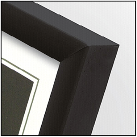 ZEP New Easy black         10x15