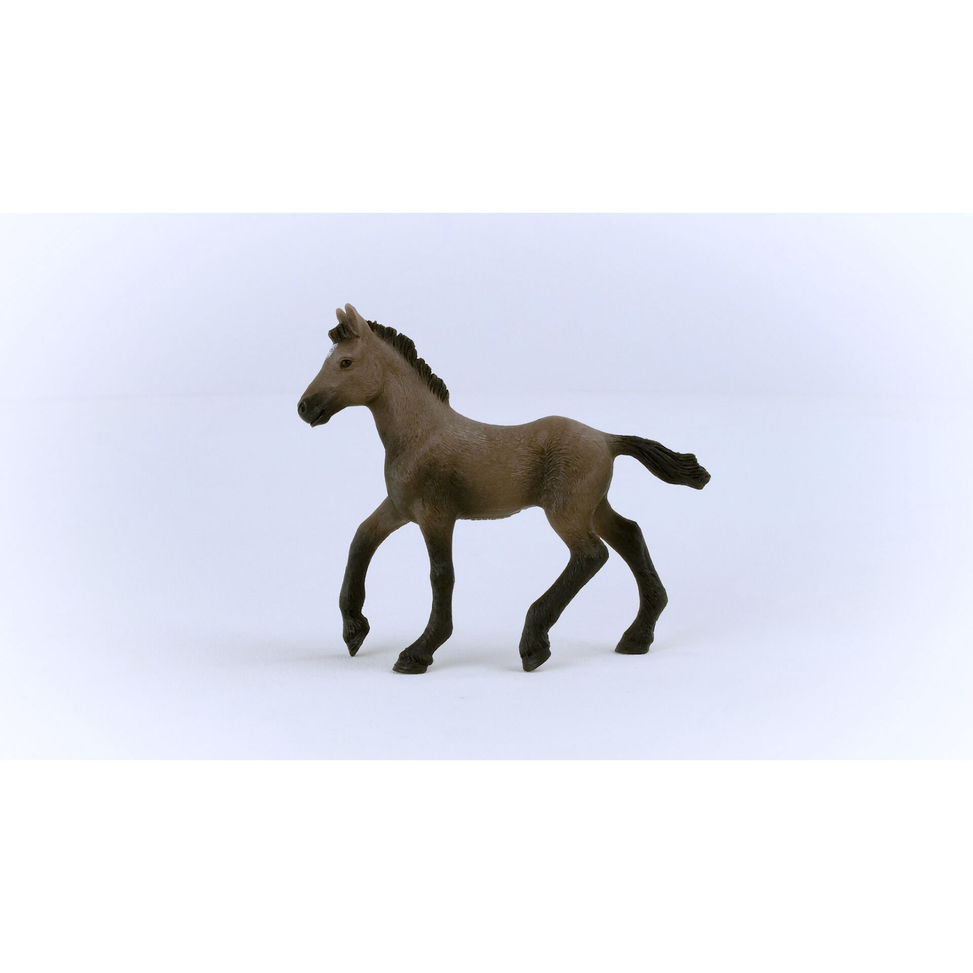 Schleich Horse Club Paso Peruano Fohlen        13954