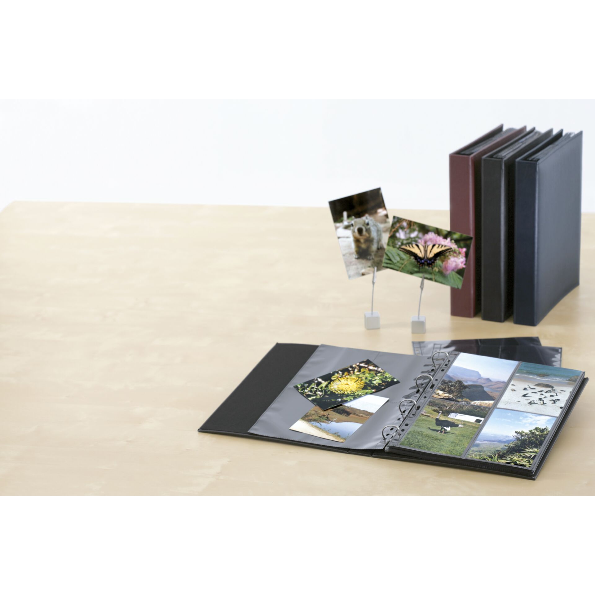 Herma fotophan  9x13 hoch 10 Blatt schwarz            7783 514208_07