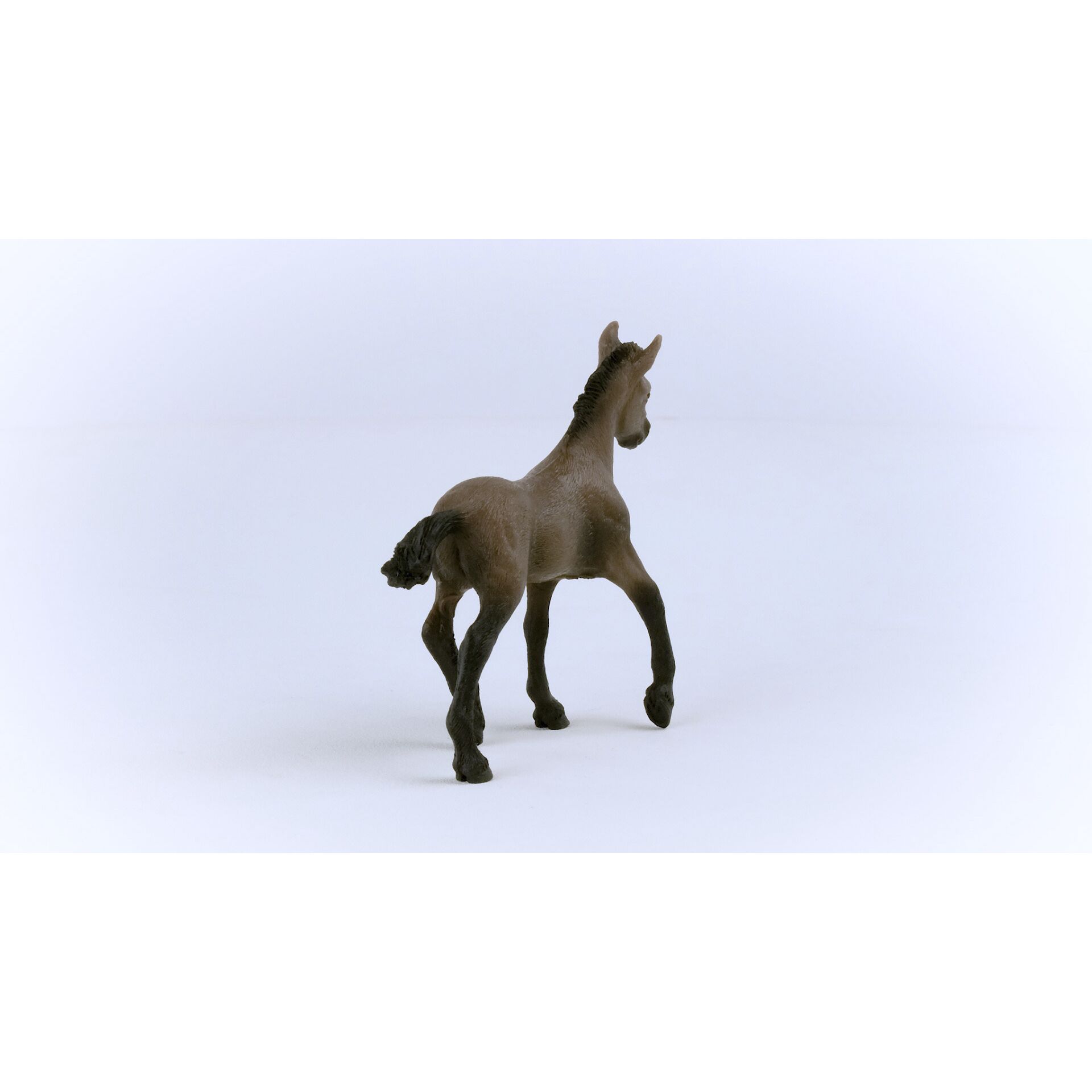 Schleich Horse Club Paso Peruano Fohlen        13954