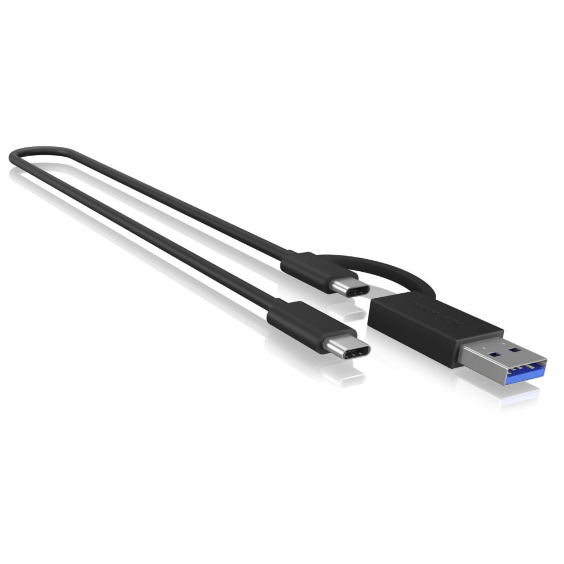 RaidSonic ICY BOX IB-1807MT-C31 USB Type-C M.2 NVMe SSD