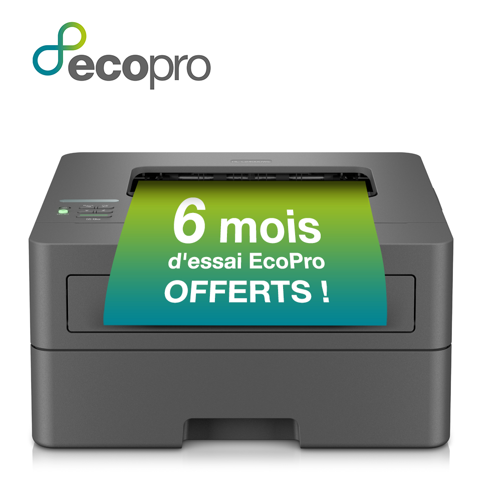 Brother HL-L2400DWE Monolaserdrucker -EcoPro- – Ansicht 2