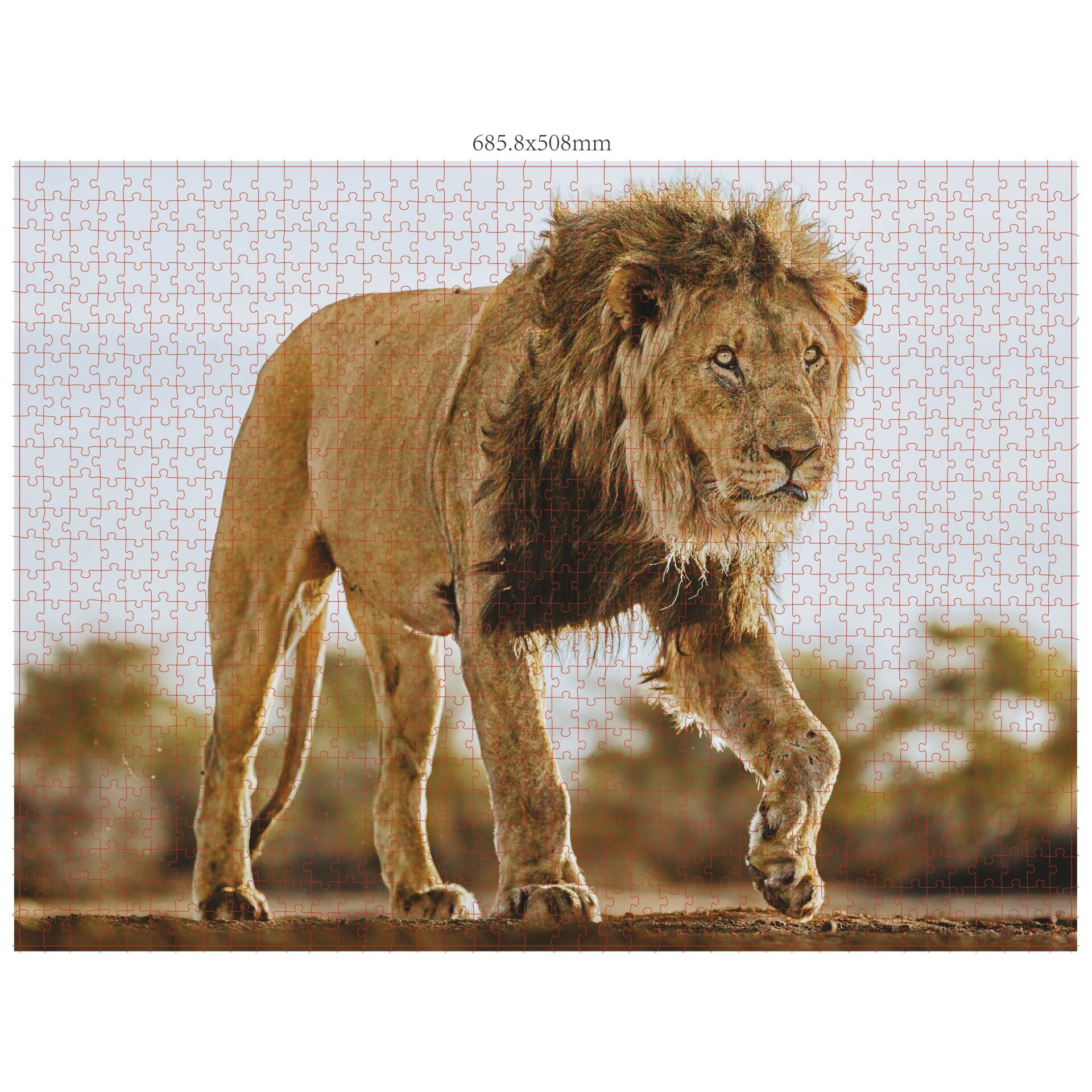 Ambassador Wildtiere 3x1000 Teile (Donal Boyd) 823314_02