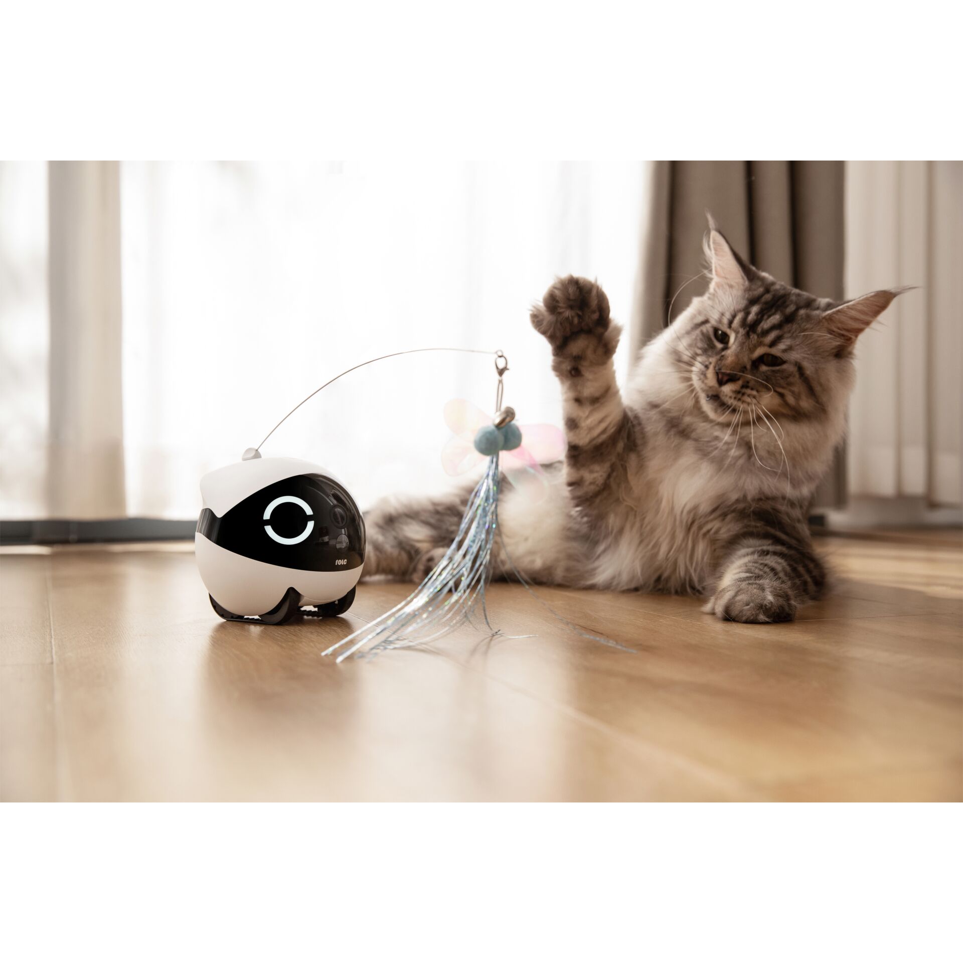 Enabot ROLA Mini Cat Teaser 182683_04
