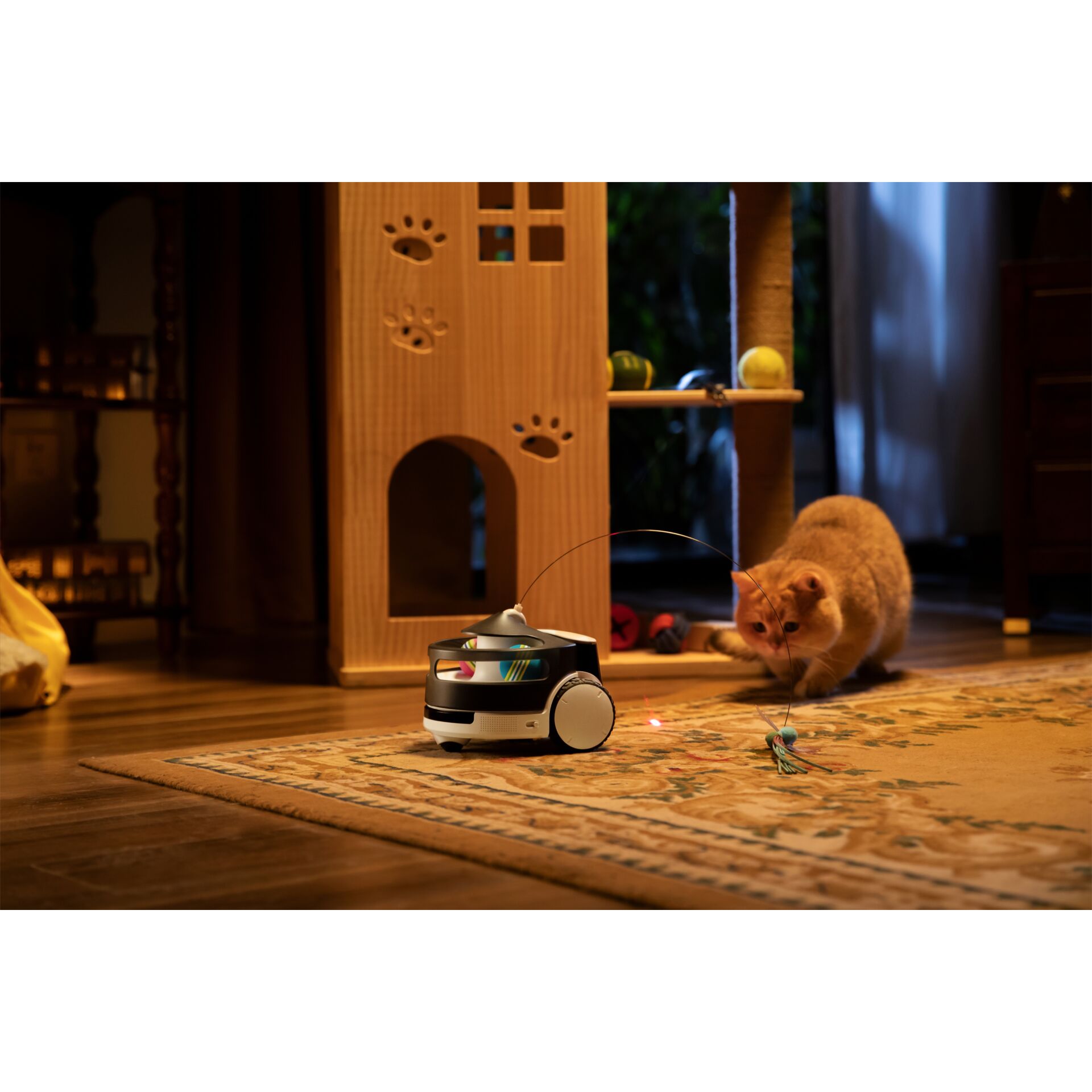 Enabot ROLA PetPal Spiele Modul 182697_04