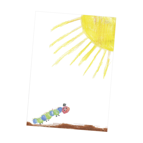 1x10 Daiber Flügelmappen Raupe für max.Bildformat 18x25cm 13411