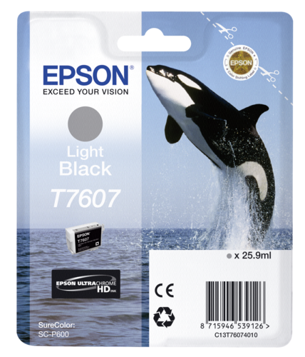 Epson Tintenpatrone light black