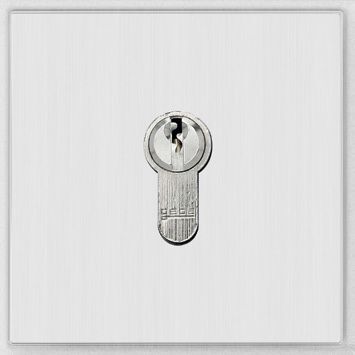 Behnke 20-2401 Modul Schlüsselschalter
