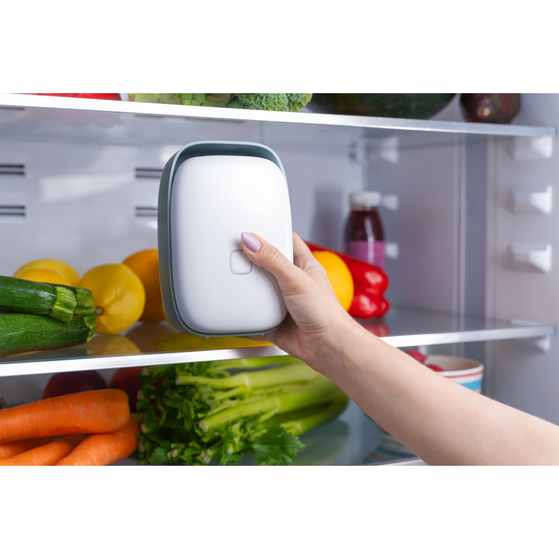 Vitesy Shelfy 2 Smarter Kühlschrankreiniger 204887_06