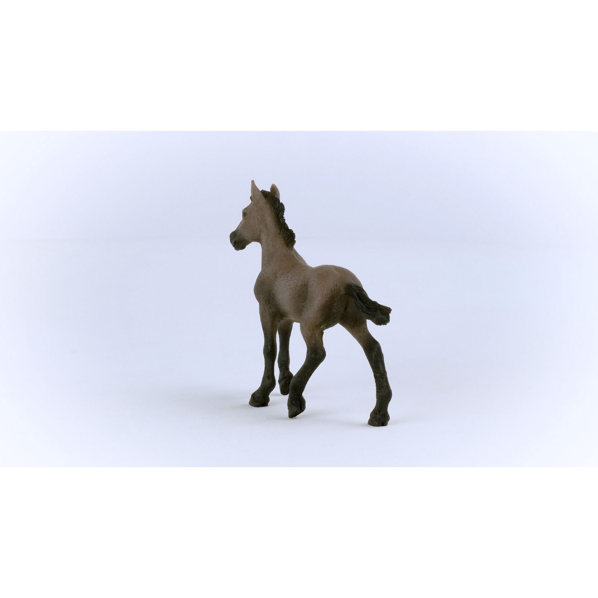 Schleich Horse Club Paso Peruano Fohlen        13954