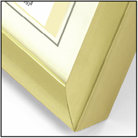 ZEP New Easy gold          30x40