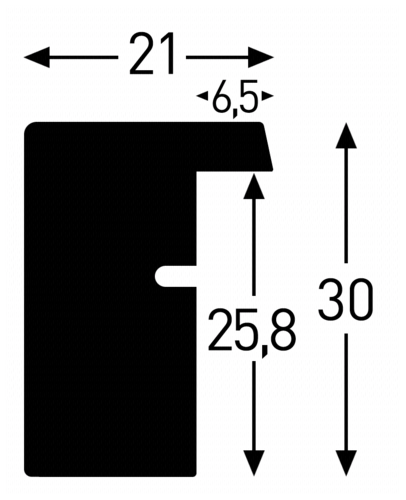 Nielsen Apollo silber      24x30