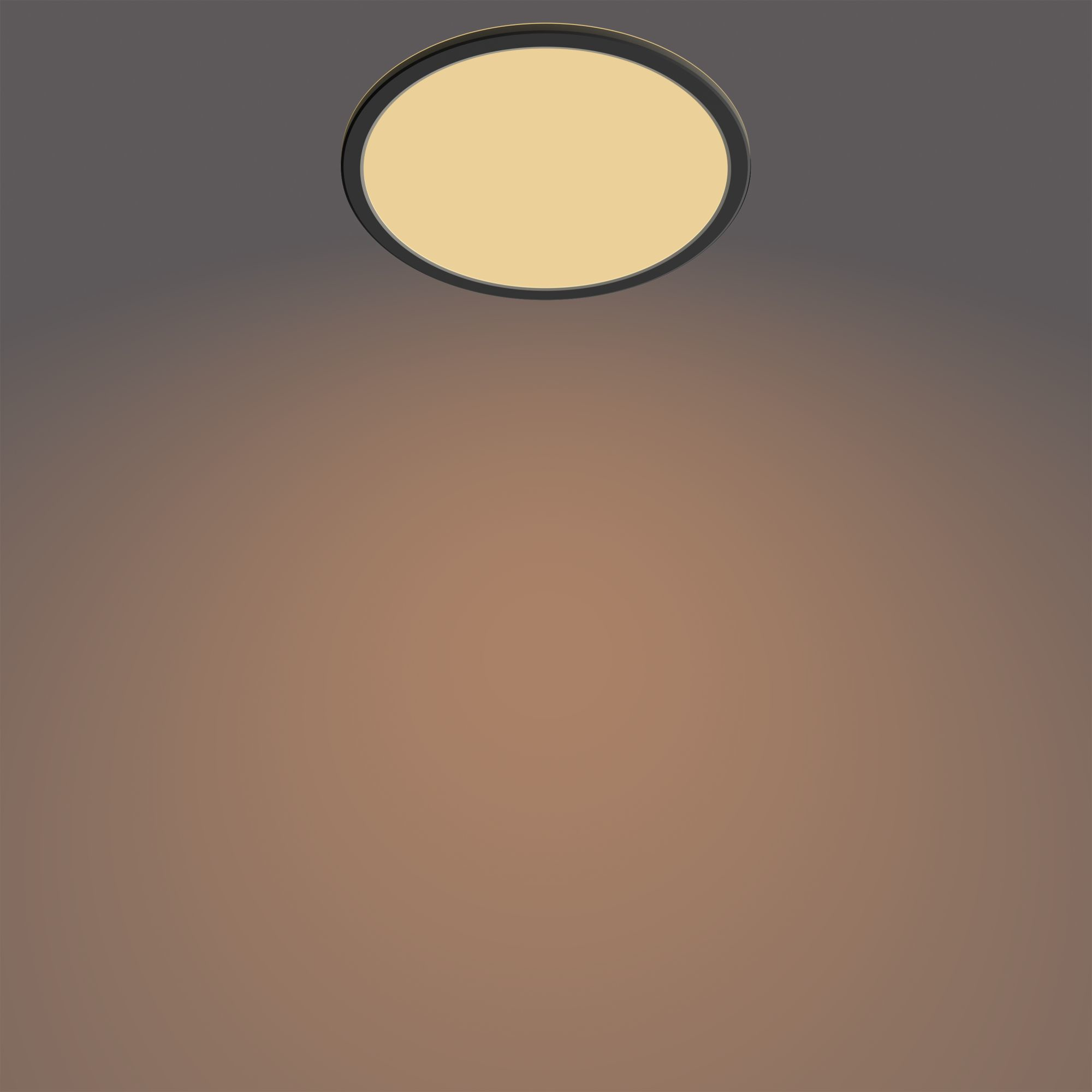 Philips Superslim 3in1 LED Leuchte CL550 IP44 1300lm schwarz 91818631_5584188006