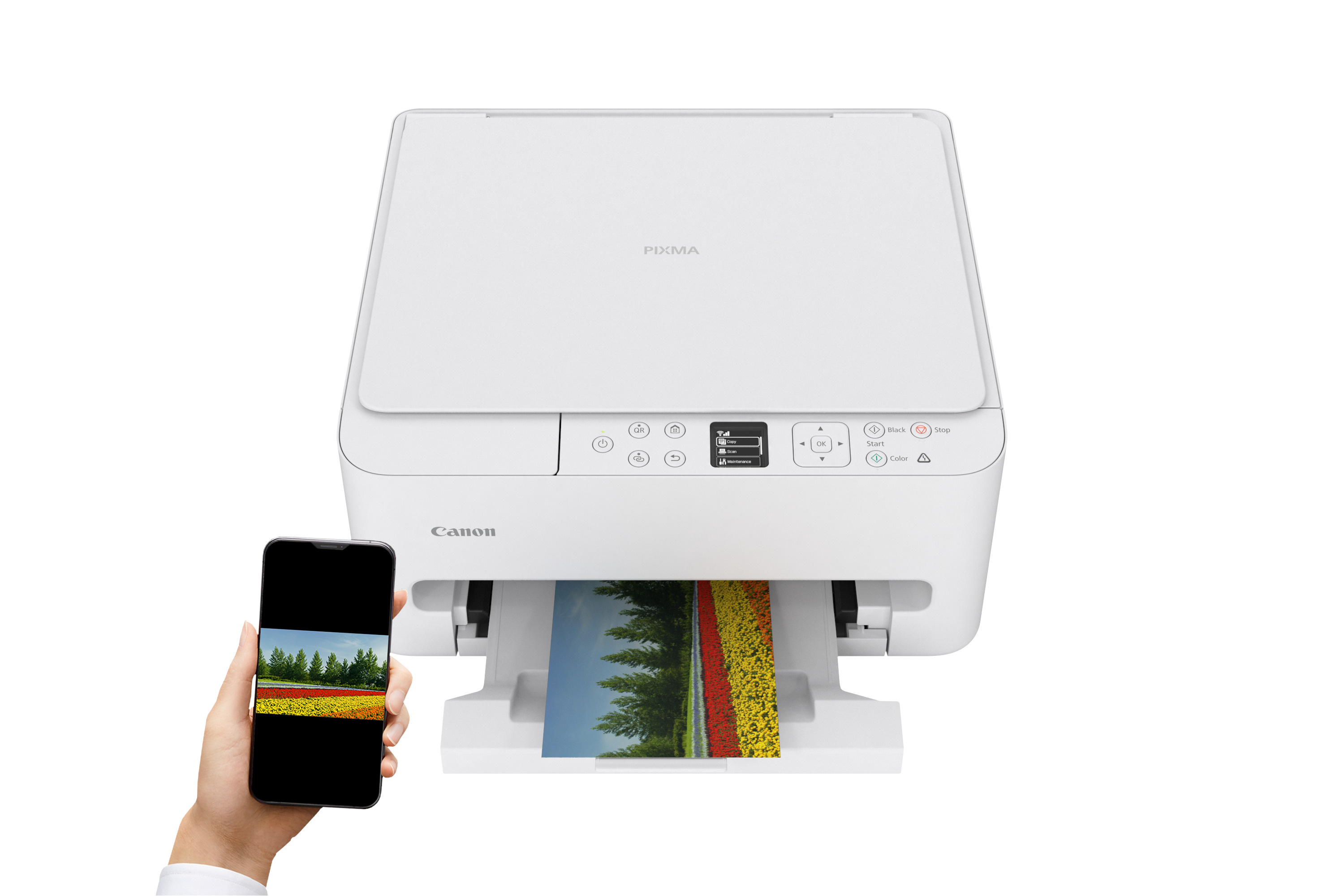 Canon PIXMA TS 6550i 10d97f60ecb8023332767e89fc28b388743e4fc1