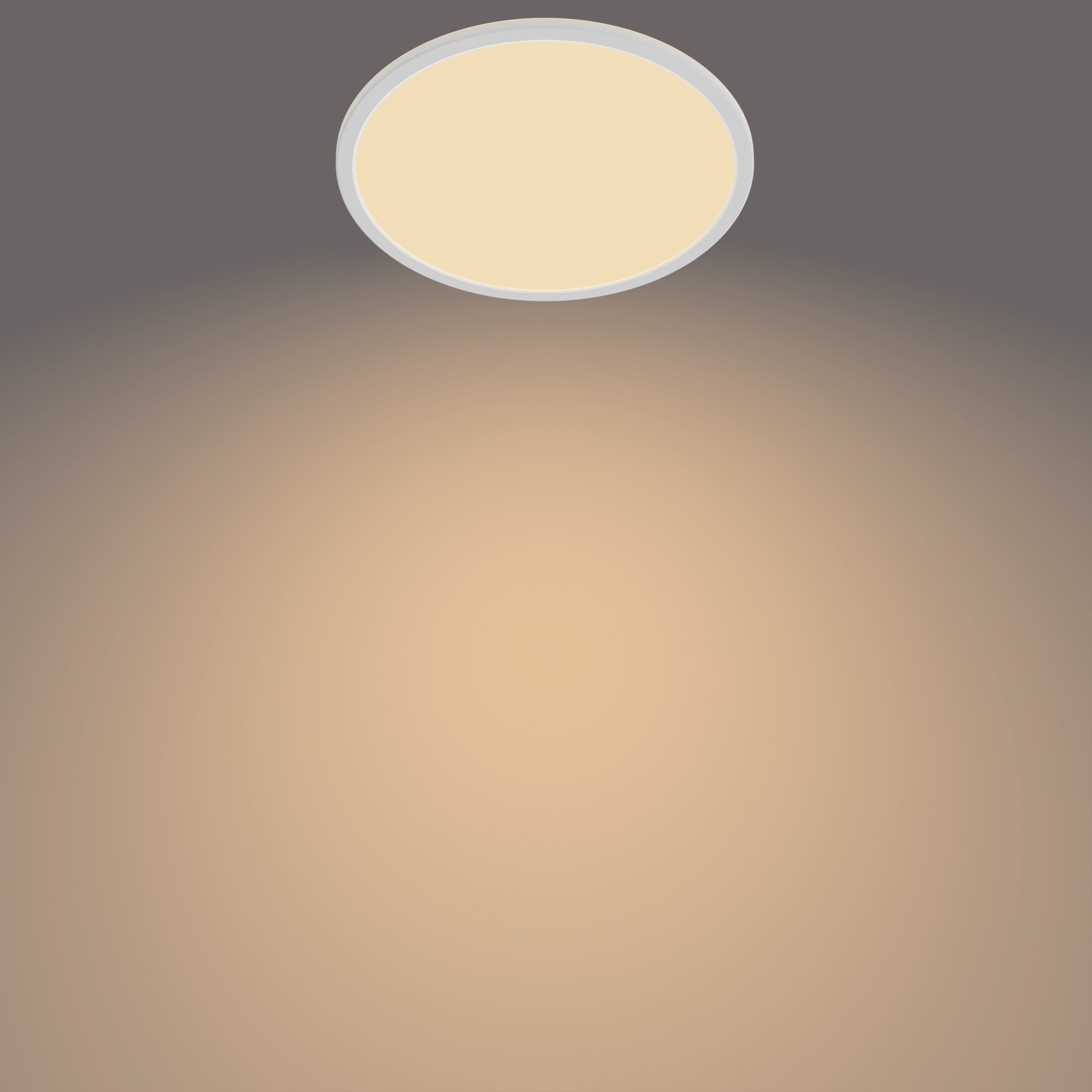 Philips 3in1 LED Leu SceneSwitch CL550 IP44 1500lm Dimmen o DS 91818633_2203848671