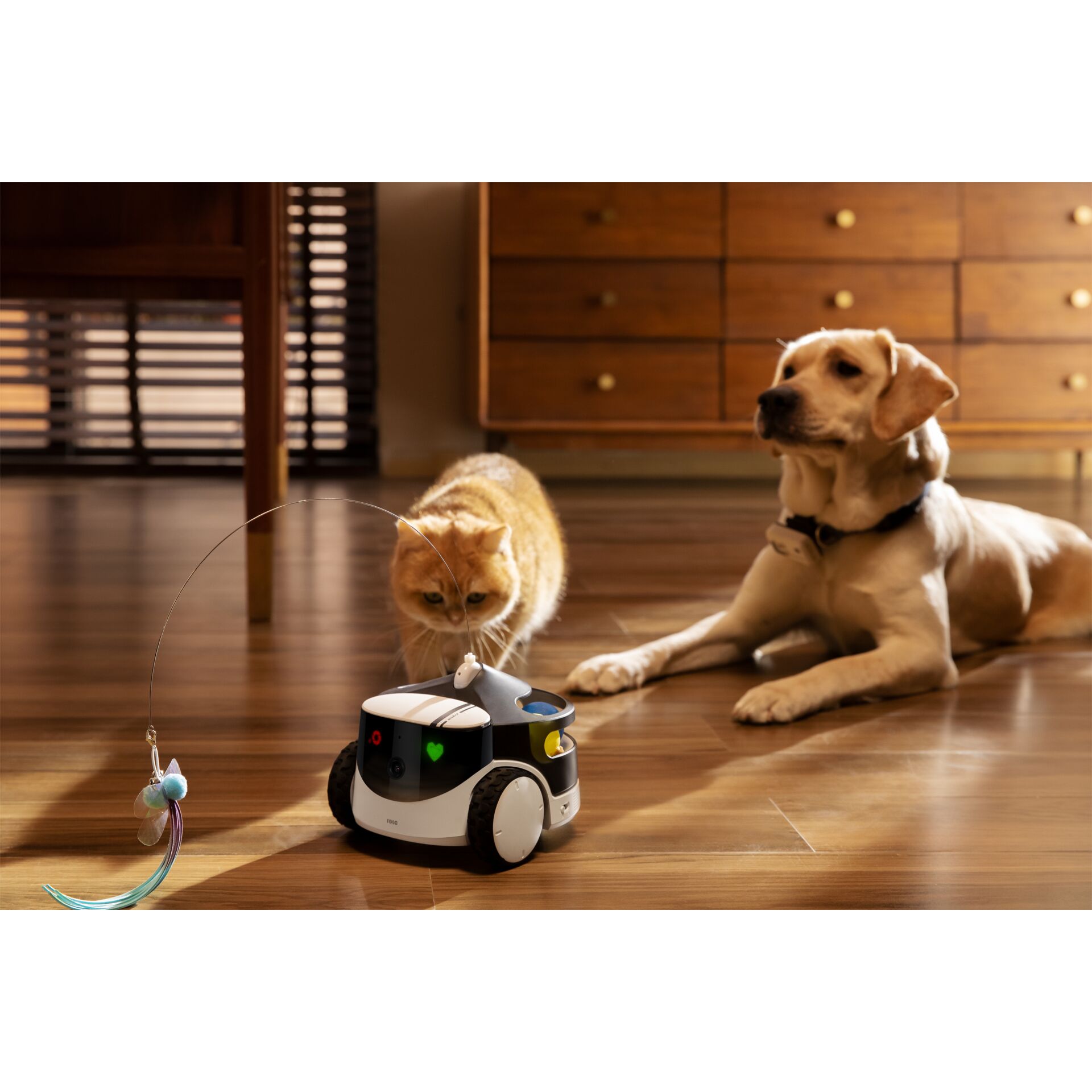 Enabot ROLA PetPal Spiele Modul 182697_07