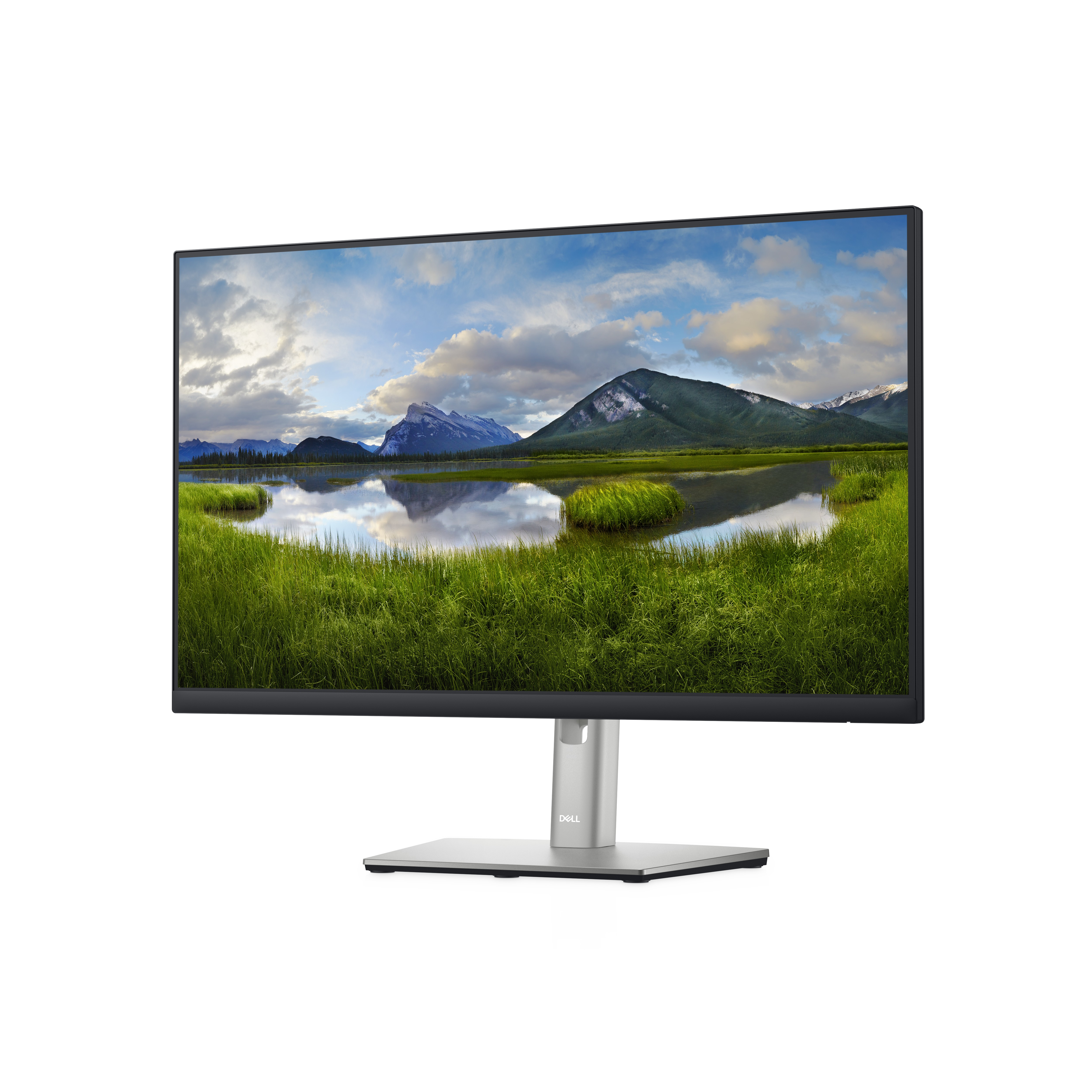 DELL P2422H 60,5 cm (23.8 Zoll) 1920 x 1080 Pixel Full HD LCD Schwarz