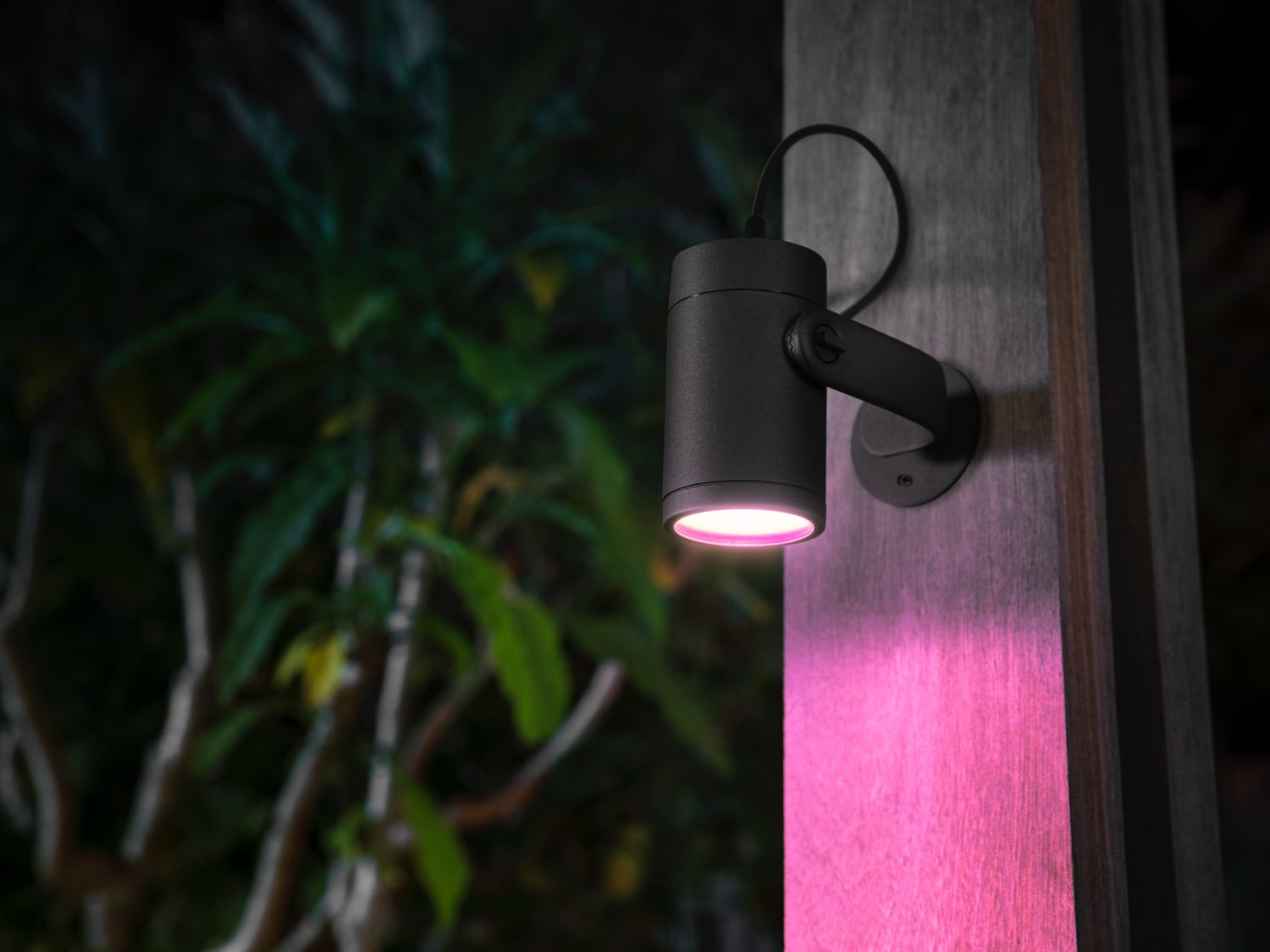 Philips Hue White and Color ambiance Lily Gartenspot