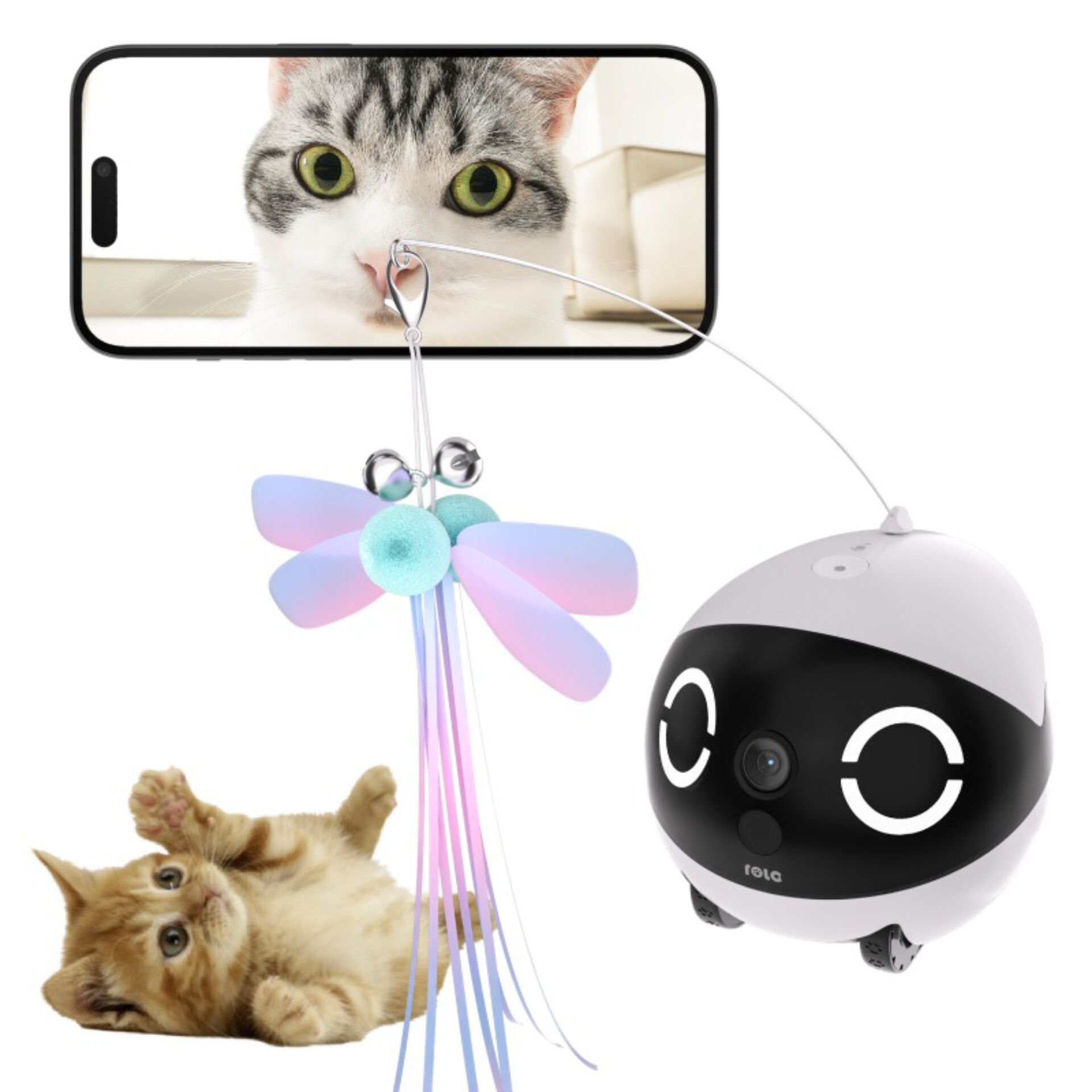 Enabot ROLA Mini Cat Teaser 182683_03