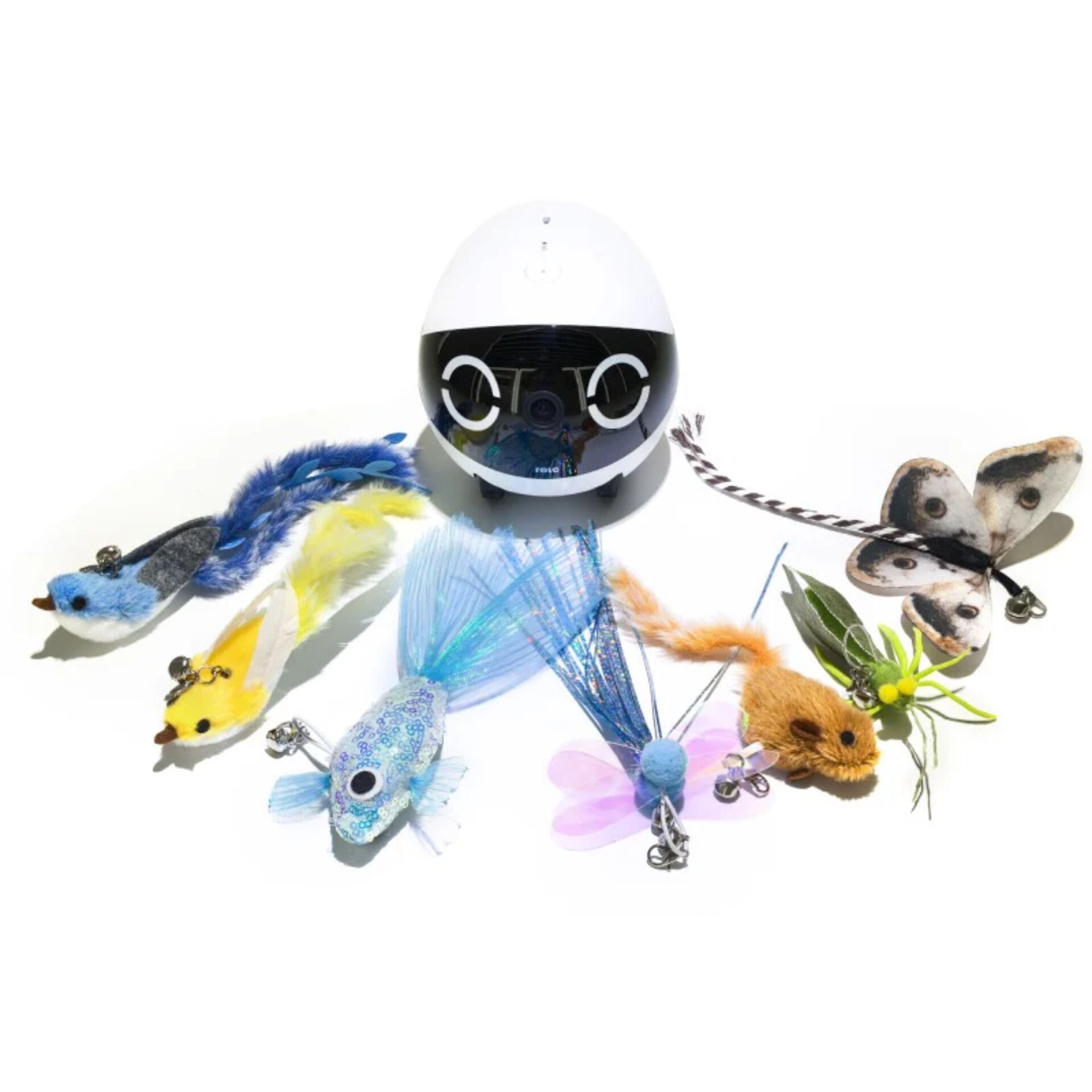 Enabot ROLA Mini Cat Teaser 182683_02