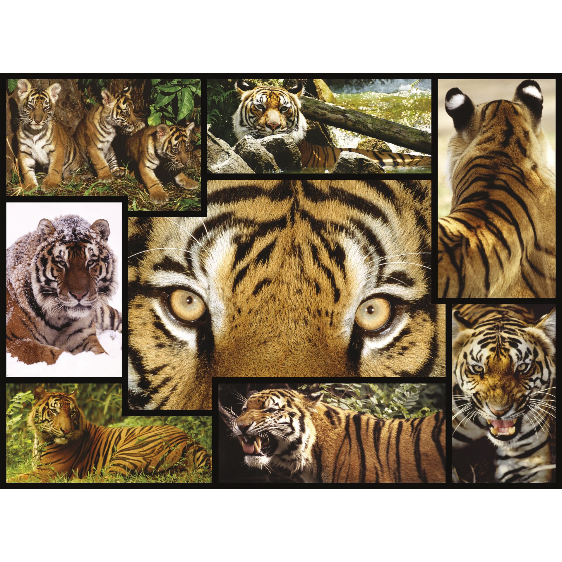 Ambassador Tiger 1000 Teile 823300_01