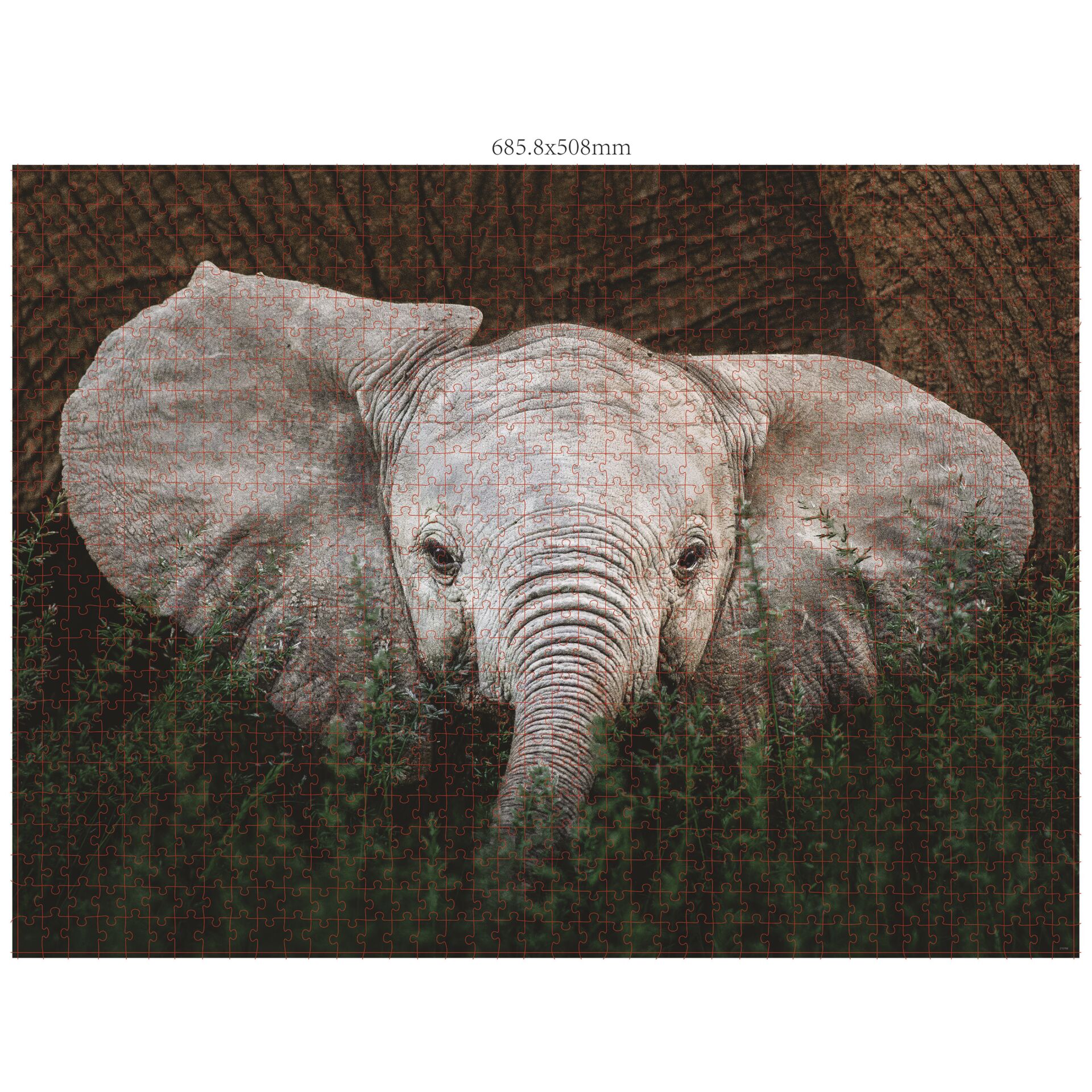 Ambassador Wildtiere 3x1000 Teile (Donal Boyd) 823314_01