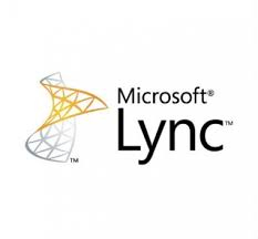 Microsoft Lync Server Plus CAL Kundenzugangslizenz (CAL) 1 Lizenz(en) Mehrsprachig